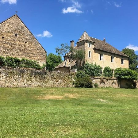 Chateau De La Loue- Plage Privee Villa Scey-en-Varais Eksteriør billede