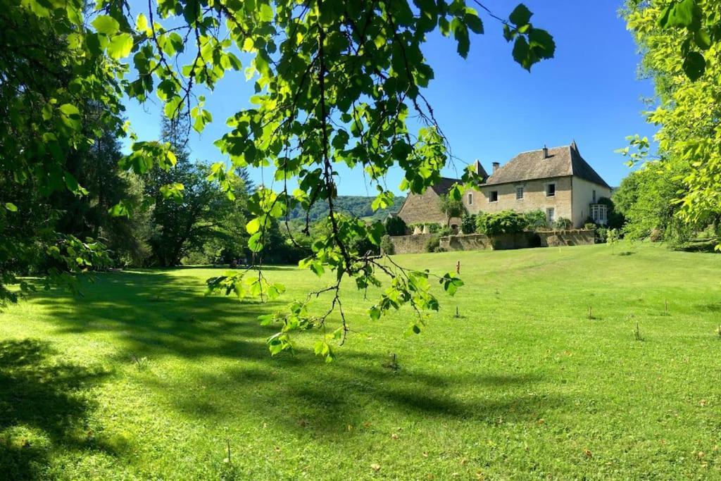 Chateau De La Loue- Plage Privee Villa Scey-en-Varais Eksteriør billede